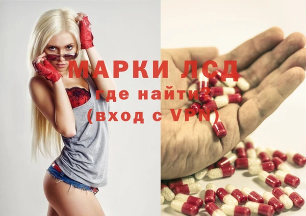 шишки Магадан
