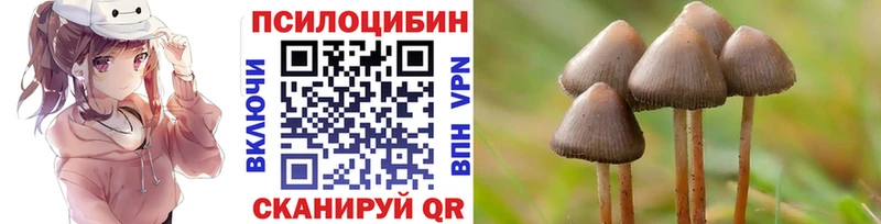 Галлюциногенные грибы GOLDEN TEACHER  закладки  Суровикино 